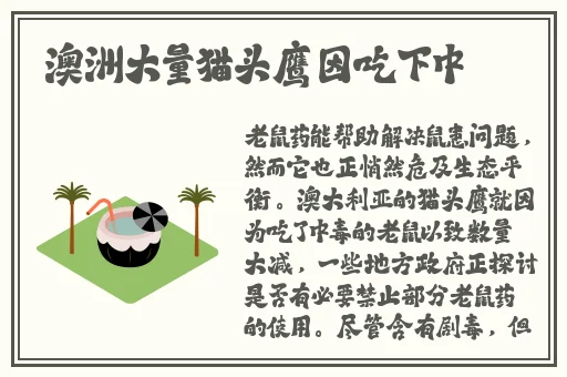 精品一区二区三区无码免费视频